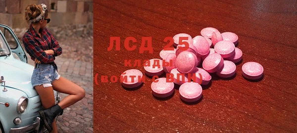 дмт Алзамай
