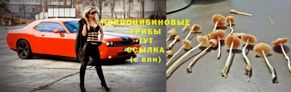 спайс Алексеевка