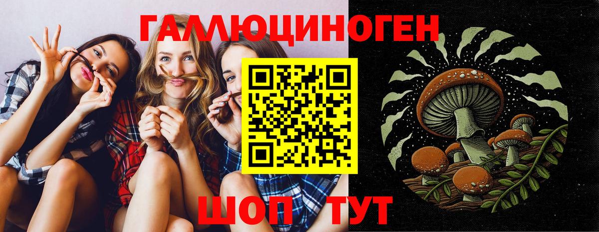 Псилоцибиновые грибы ЛСД Звенигород
